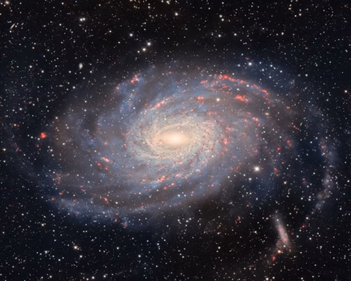 Behold NGC 6744, a spiral galaxy bearing similarities to our home galaxy, the Milky Way. This cosmic twin is captured here in stunning detail by the Dark Energy Camera (DECam) on the Víctor M. Blanco 4-meter Telescope at the U.S. National Science Foundation Cerro Tololo Inter-American Observatory (CTIO), a Program of NSF NOIRLab in Chile. Located around 30 million light-years away in the constellation Pavo, NGC 6744 exhibits a luminous core and spiral arms spanning 175,000 light-years across, a larger but similar anatomy to our Milky Way. Moreover, to the lower right of NGC 6744, at the end of the spiral arm, is a faint blob. This is its companion galaxy known as NGC 6744A. The companionship between these galaxies is analogous to that between the Milky Way and its dwarf companion the Large Magellanic Cloud. Though it’s impossible to get an external view of our galaxy, these similarities offer insight into how the Milky Way might look to a distant observer. This is one of the deepest images of NGC 6744 ever taken, and keen observers can spy the faint extended arm on the left hand side of the galaxy — rarely visible in most images. This image is part of the DESI Legacy Imaging Surveys, an ambitious effort to construct the largest 3D map of the night sky with the DOE-built DECam on the Blanco Telescope at NSF CTIO and other Programs of NSF NOIRLab.
