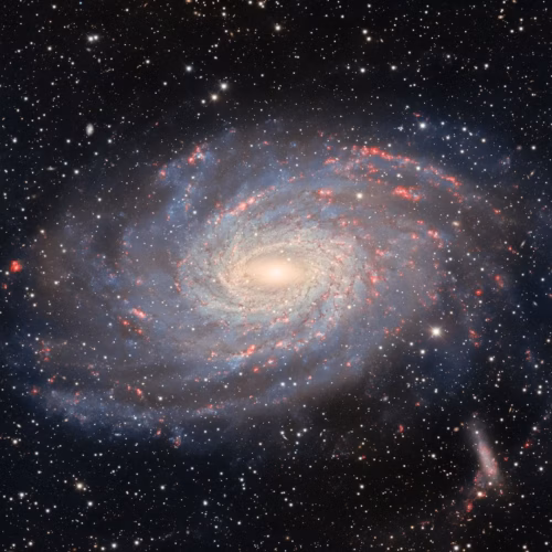 Behold NGC 6744, a spiral galaxy bearing similarities to our home galaxy, the Milky Way. This cosmic twin is captured here in stunning detail by the Dark Energy Camera (DECam) on the Víctor M. Blanco 4-meter Telescope at the U.S. National Science Foundation Cerro Tololo Inter-American Observatory (CTIO), a Program of NSF NOIRLab in Chile. Located around 30 million light-years away in the constellation Pavo, NGC 6744 exhibits a luminous core and spiral arms spanning 175,000 light-years across, a larger but similar anatomy to our Milky Way. Moreover, to the lower right of NGC 6744, at the end of the spiral arm, is a faint blob. This is its companion galaxy known as NGC 6744A. The companionship between these galaxies is analogous to that between the Milky Way and its dwarf companion the Large Magellanic Cloud. Though it’s impossible to get an external view of our galaxy, these similarities offer insight into how the Milky Way might look to a distant observer. This is one of the deepest images of NGC 6744 ever taken, and keen observers can spy the faint extended arm on the left hand side of the galaxy — rarely visible in most images. This image is part of the DESI Legacy Imaging Surveys, an ambitious effort to construct the largest 3D map of the night sky with the DOE-built DECam on the Blanco Telescope at NSF CTIO and other Programs of NSF NOIRLab.